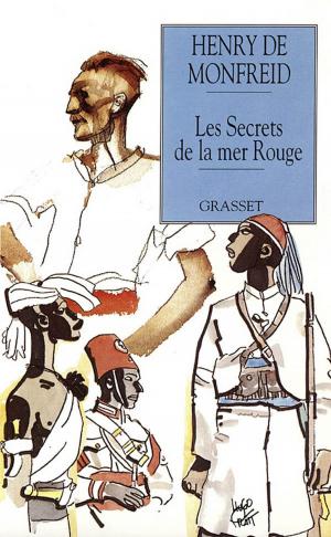 Cover of the book Les secrets de la mer rouge by Elise Fontenaille