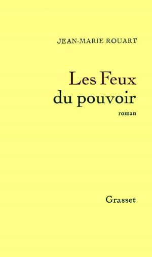 Cover of the book Les feux du pouvoir by Annick Geille