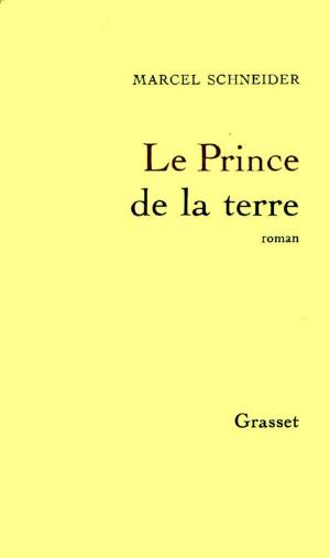 Cover of the book Le Prince de la terre by Maya Thakuri