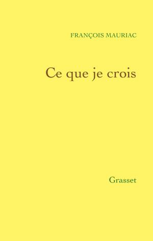 Cover of the book Ce que je crois by Adrien Goetz