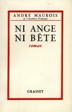 Cover of the book Ni ange ni bête by Madeleine Chapsal