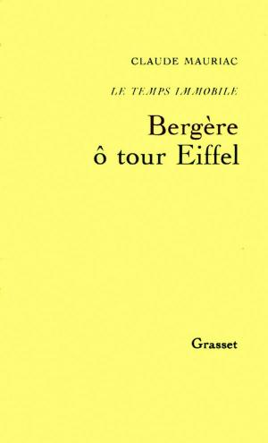 Cover of the book Le temps immobile T08 by Elena Ferrante