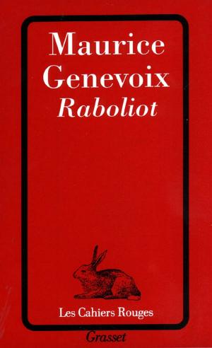 Cover of the book Raboliot by Daniel Rondeau