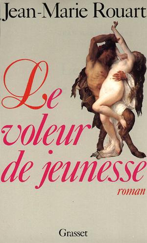 Cover of the book Le voleur de jeunesse by Yann Moix