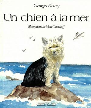 Cover of the book Un chien à la mer by Daniel Rondeau