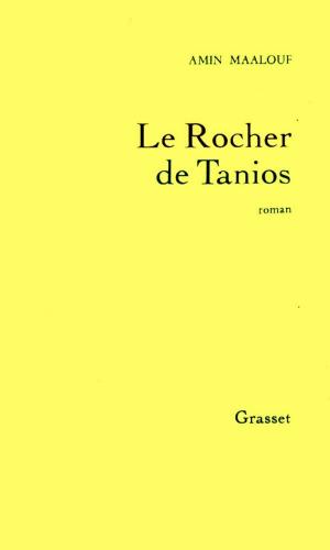 Cover of the book Le rocher de Tanios by Dominique Fernandez de l'Académie Française