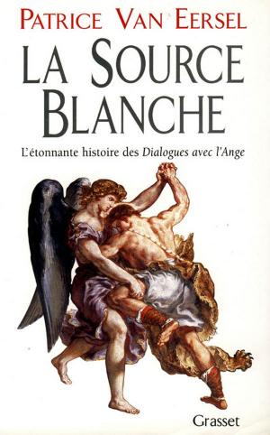 Cover of the book La source blanche by Raphaële Vidaling