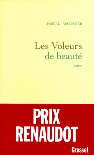 Cover of the book Les voleurs de beauté by Daniel Rondeau