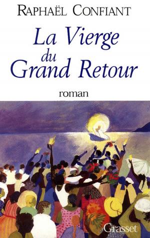 Cover of the book La vierge du grand retour by Adrien Goetz
