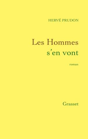 Cover of the book Les hommes s'en vont by François Jullien