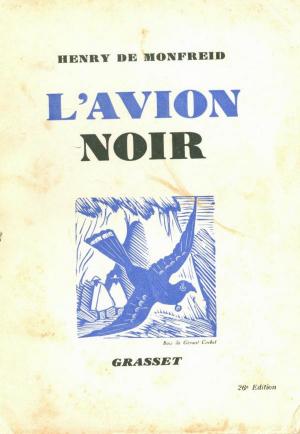 Cover of the book L'avion noir by Pierre de Boisdeffre