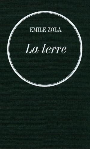 Cover of the book La terre by Dominique Fernandez de l'Académie Française