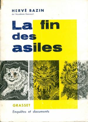 Cover of the book La fin des asiles by Bruno Patino