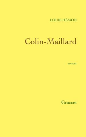 Cover of the book Colin-Maillard by Daniel Rondeau