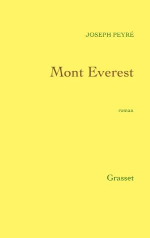 Cover of the book Mont Everest by David Bisson, Evangéline de Schonen-Désarnauts
