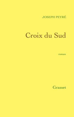 Cover of the book Croix du Sud by Delphine Coulin