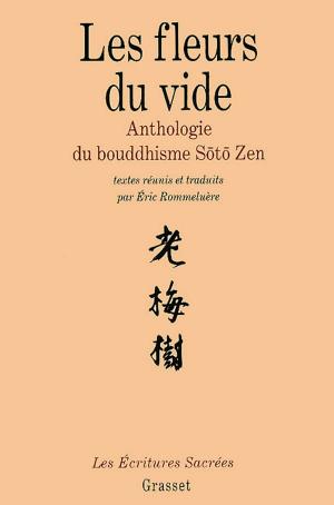 Cover of the book Les fleurs du vide by Lorette Nobécourt