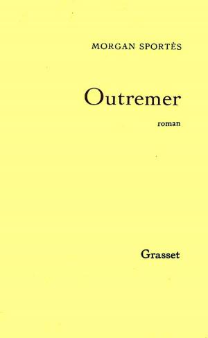 Cover of the book Outremer by Daniel Glattauer