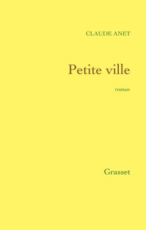 Cover of the book Petite ville by Patrick Poivre d'Arvor