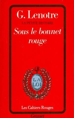 Cover of the book Sous le bonnet rouge by Elise Fontenaille