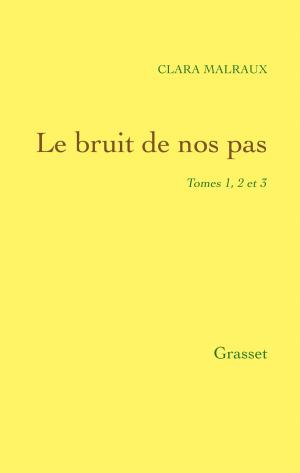 Cover of the book Le bruit de nos pas by Maurice Clavel