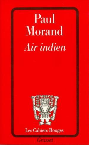 Cover of the book Air indien by Danièle Thompson