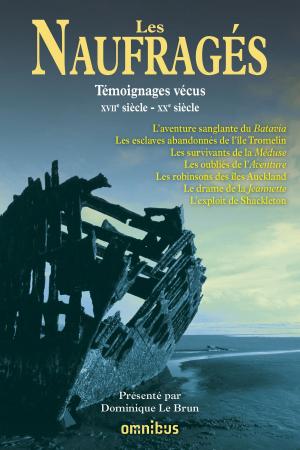 Cover of the book Les naufragés by Paul COUTURIAU