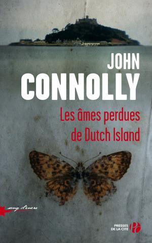 Cover of the book Les âmes perdues de Dutch Island by Pierre PELLISSIER