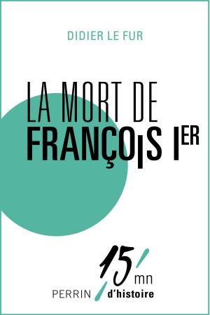 Cover of the book La mort de François Ier by Xavier-Marie BONNOT