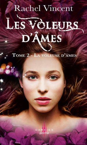 Book cover of La voleuse d'âmes