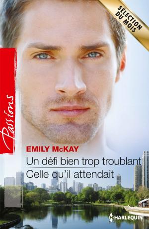 Cover of the book Un défi bien trop troublant - Celle qu'il attendait by KC Klein