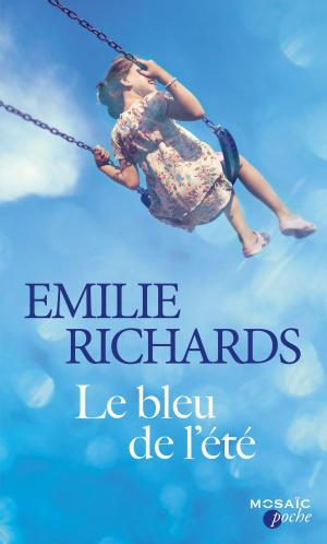 Book cover of Le bleu de l'été