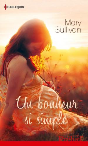 Book cover of Un bonheur si simple