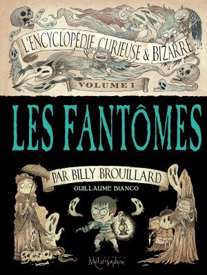 Cover of the book L'Encyclopédie curieuse et bizarre par Billy Brouillard - Volume 1 by Jean-Charles Gaudin, Cyril Trichet