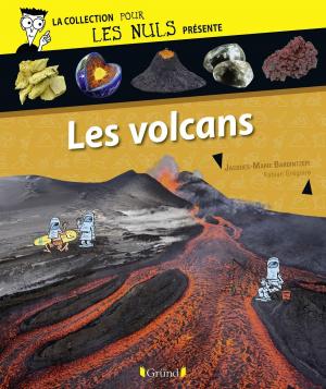 Cover of the book Pour Les Nuls présente Les volcans by Valéry DROUET
