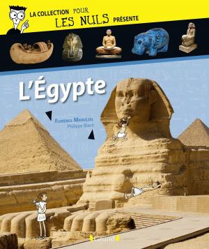 Cover of the book Pour Les Nuls présente L'Egypte by Guillaume BERNARD, Frédéric MONERA