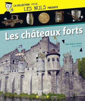 Cover of the book Pour Les Nuls présente Les Châteaux Forts by Elisenda SEGALAS-CLERIN