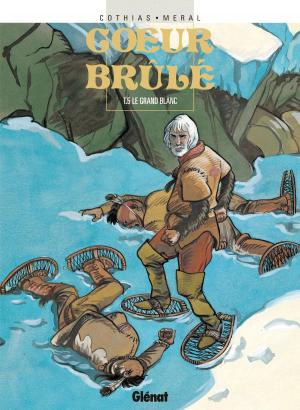 Cover of the book Coeur Brûlé - Tome 05 by Pierre Bottero, Lylian, Laurence Baldetti, Nicolas Vial