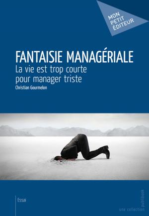 Cover of the book Fantaisie managériale by Damien Farissier