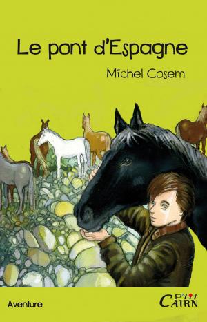 Cover of the book Le pont d'Espagne by Michel Cosem