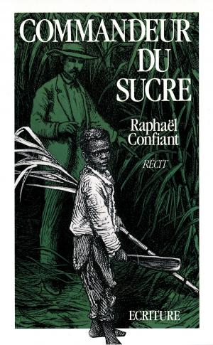 Cover of the book Commandeur du sucre by Sabrina Paravicini