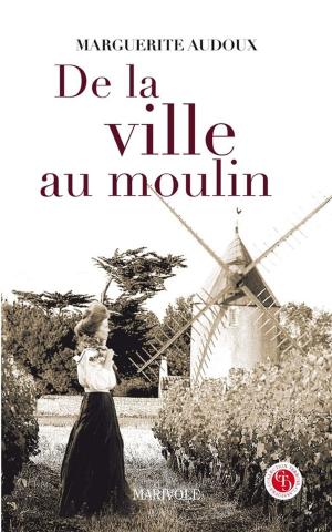 Cover of the book De la ville au moulin by Stéphane Bein