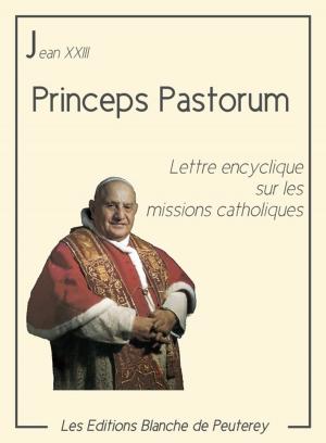 Cover of the book Princeps Pastorum by Benoit Xvi