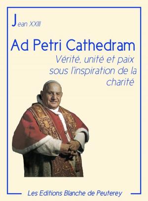 Cover of the book Ad Petri cathedram by Augustin Crampon
