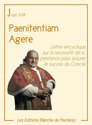 Cover of the book Paenitentiam agere by Saint Augustin