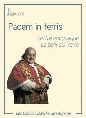 Cover of the book Pacem in Terris by Dominique Le Tourneau