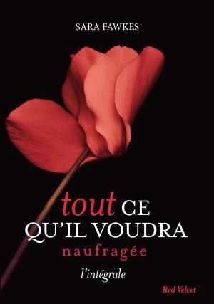 Cover of the book Tout ce qu'il voudra - Naufragée - L'intégrale by Ilona Chovancova