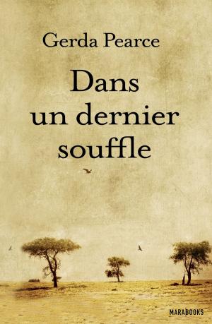 Cover of the book Dans un dernier souffle by Anne Ducrocq