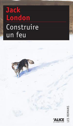 Cover of the book Construire un feu by Adeline Yzac
