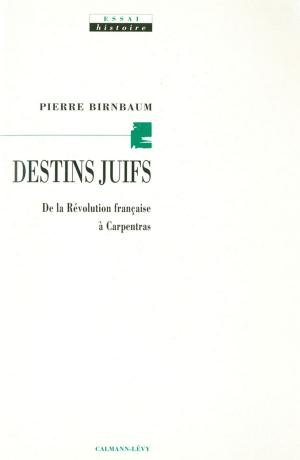 Cover of the book Destins juifs by Pierre Pelot